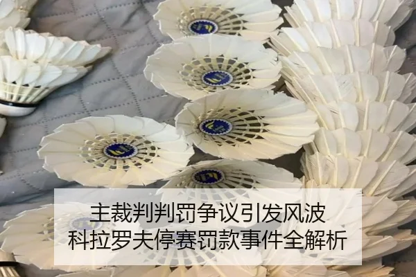 主裁判判罚争议引发风波 科拉罗夫停赛罚款事件全解析